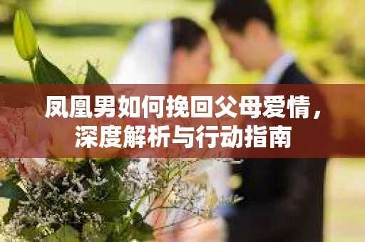 凤凰男如何挽回父母爱情，深度解析与行动指南