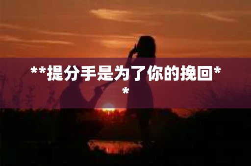 **提分手是为了你的挽回**