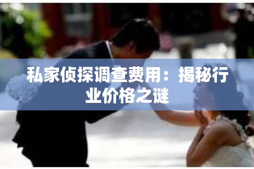 私家侦探调查费用：揭秘行业价格之谜