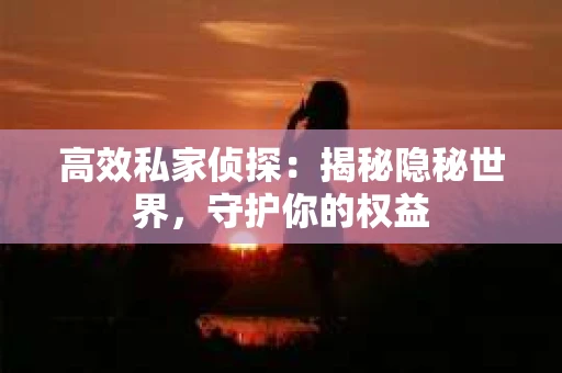 高效私家侦探：揭秘隐秘世界，守护你的权益