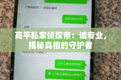 高平私家侦探帝：诚专业，揭秘真相的守护者