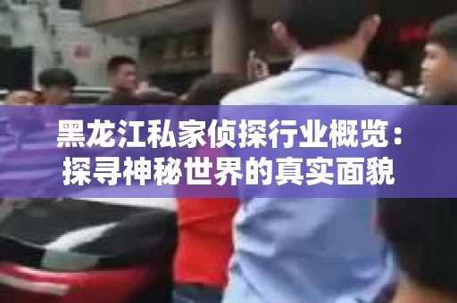 黑龙江私家侦探行业概览：探寻神秘世界的真实面貌
