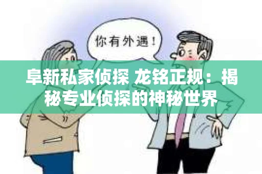 阜新私家侦探 龙铭正规：揭秘专业侦探的神秘世界
