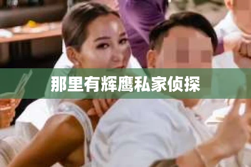 那里有辉鹰私家侦探