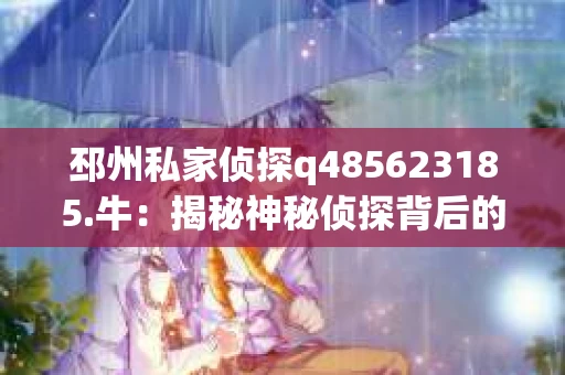 邳州私家侦探q485623185.牛：揭秘神秘侦探背后的故事