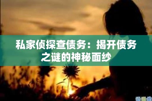 私家侦探查债务：揭开债务之谜的神秘面纱