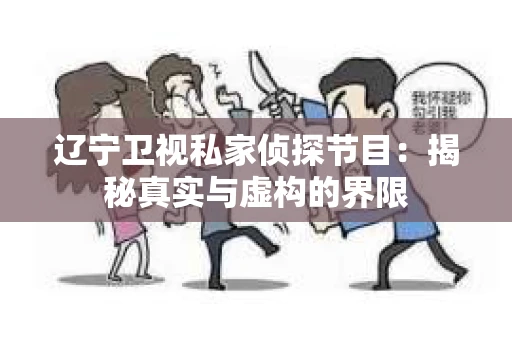 辽宁卫视私家侦探节目：揭秘真实与虚构的界限