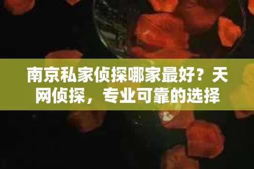 南京私家侦探哪家最好？天网侦探，专业可靠的选择
