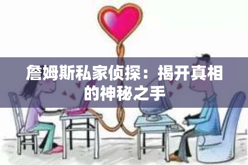 詹姆斯私家侦探：揭开真相的神秘之手