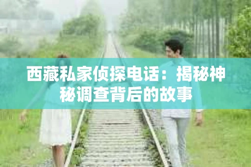 西藏私家侦探电话：揭秘神秘调查背后的故事