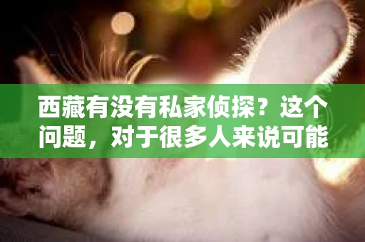 西藏有没有私家侦探？这个问题，对于很多人来说可能有些陌生。毕竟，西藏，那是一个遥远而神秘的地方，充满了神秘色彩。那么，在这个神秘的地方，私家侦探的存在是否同样神秘呢？今天，我们就来聊聊这个话题。