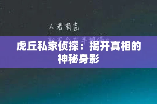 虎丘私家侦探：揭开真相的神秘身影