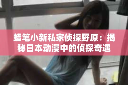 蜡笔小新私家侦探野原：揭秘日本动漫中的侦探奇遇
