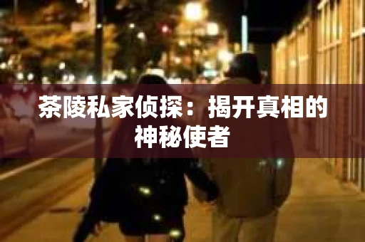 茶陵私家侦探：揭开真相的神秘使者