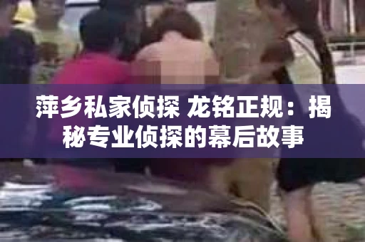 萍乡私家侦探 龙铭正规：揭秘专业侦探的幕后故事