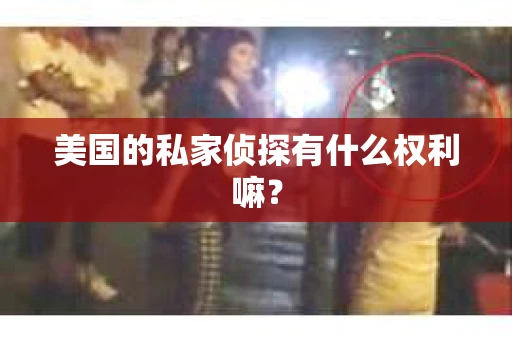 美国的私家侦探有什么权利嘛？