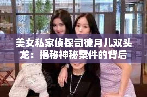 美女私家侦探司徒月儿双头龙：揭秘神秘案件的背后