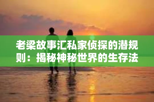 老梁故事汇私家侦探的潜规则：揭秘神秘世界的生存法则