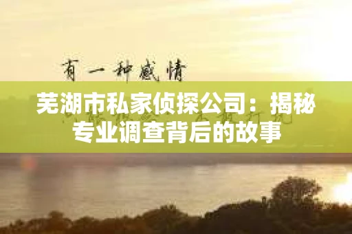 芜湖市私家侦探公司：揭秘专业调查背后的故事