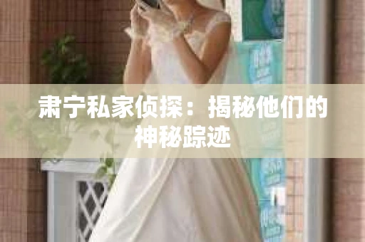 肃宁私家侦探：揭秘他们的神秘踪迹