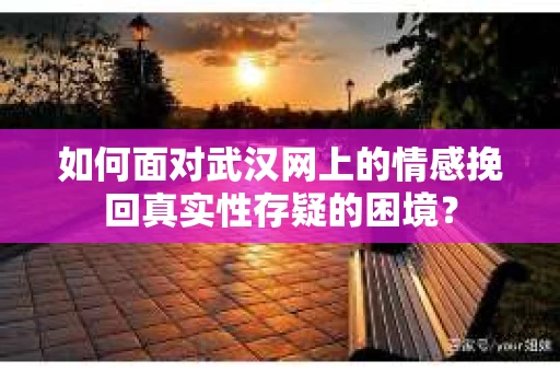 如何面对武汉网上的情感挽回真实性存疑的困境？