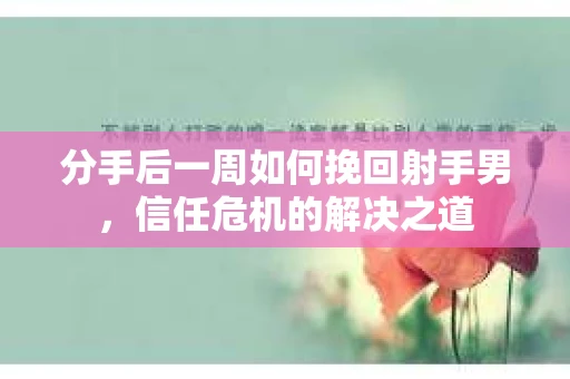 分手后一周如何挽回射手男，信任危机的解决之道
